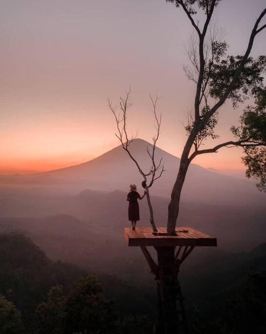 Magic Hills Bali - Magical Eco-Luxury Lodge Selat Eksteriør billede